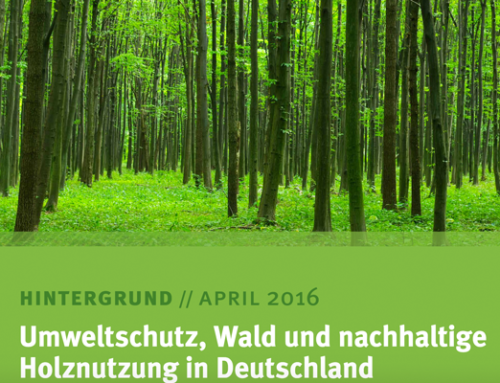 Umweltschutz, Wald und nachhaltige Holznutzung in Deutschland (04/2016, Umweltbundesamt)